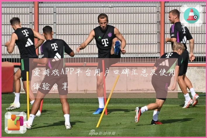 爱游戏APP平台用户口碑汇总及使用体验分享
